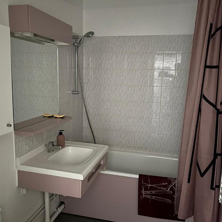 Studio cosy 2 pers, centre ville, WIFI, balcon, animaux admis - Studio - 3