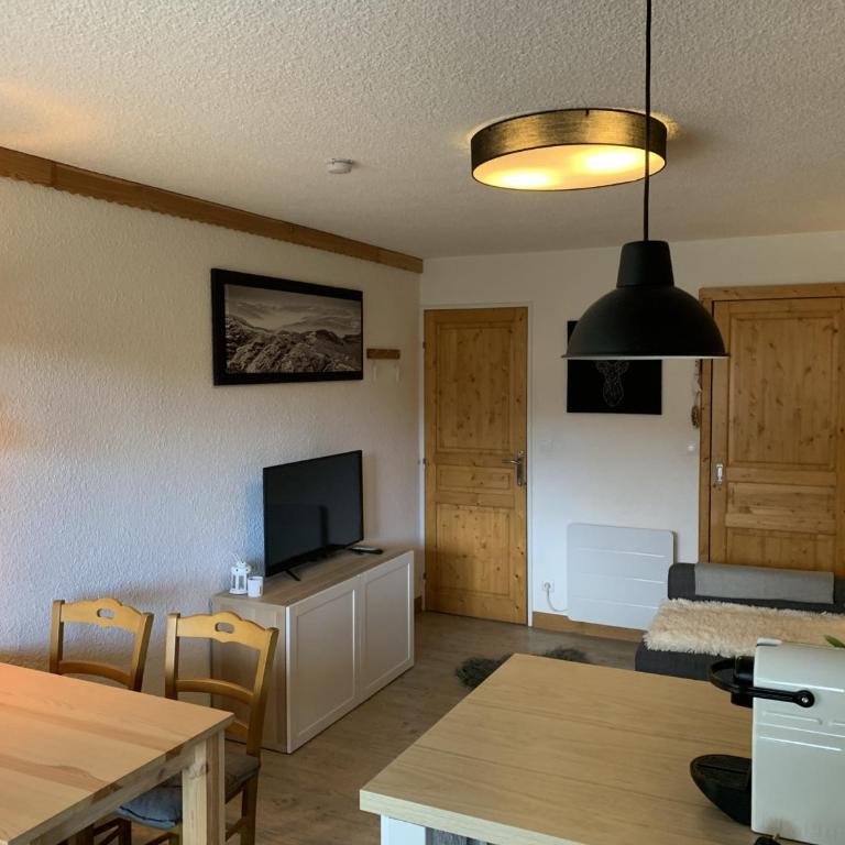 Studio confortable à Samoëns 1600 pour 4 personnes - FR-1-846-3 - Monolocale - 10