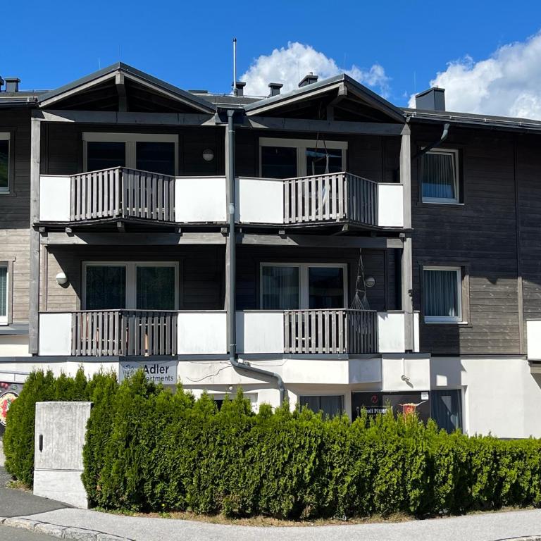 Apartment Lasch in Adler Resort including the Zell am see Kaprun summer card - Apartment mit 3 Schlafzimmern und 2 Balkonen - 4