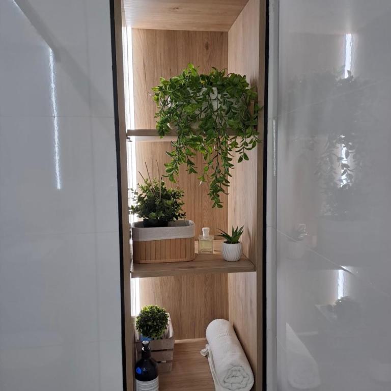 Apartamentos centricos Pontenova - Appartamento con 1 Camera da Letto - 6