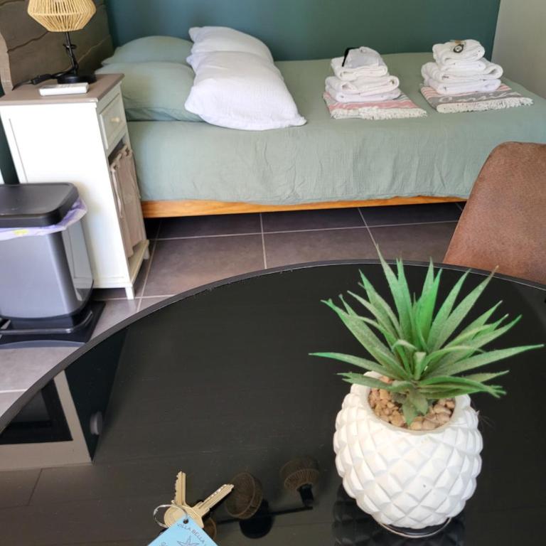 STUDIO A 30O M de la plage de Santa Giulia - Maison 1 Chambre - 14