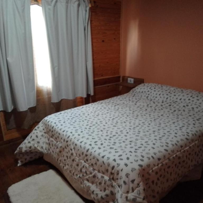 Don Edmundo Trevelin - Casa con 1 dormitorio - 10