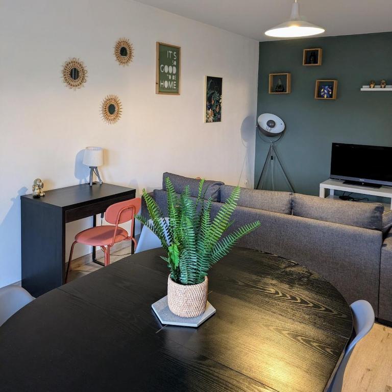 T3 lumineux avec balcon - Appartement 2 Chambres - 27