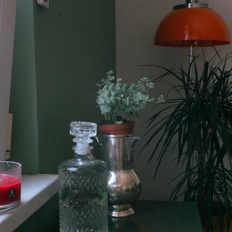 Sunny Home - Appartement 1 Chambre - 4
