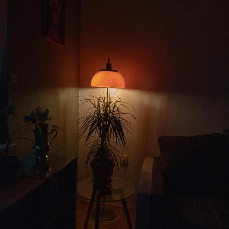 Sunny Home - Appartement 1 Chambre - 20
