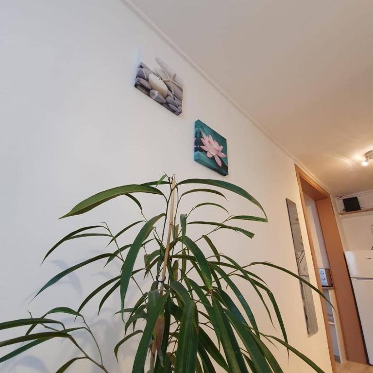 residence de l évèché 3 - Appartement 2 Chambres - 12