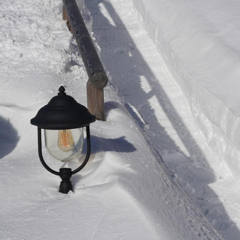 Murmeltierhütte - Ferienhaus - 5