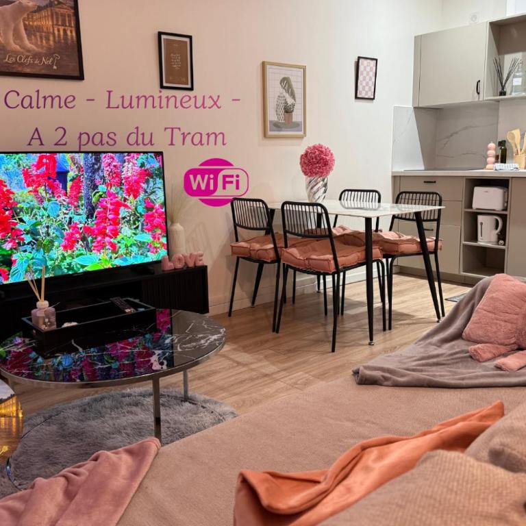Le nid des étoiles - Tram & Centre - Appartamento con 1 Camera da Letto - 1