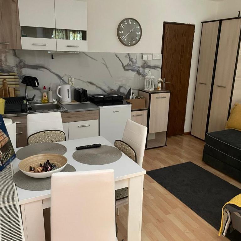 Studio Violeta Zlatibor - Apartman sa 1 Spavaćom Sobom - 12