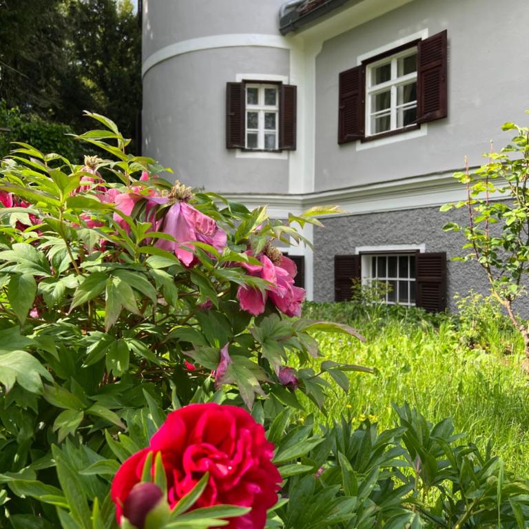 Villa Sturmberg - Villa mit 2 Schlafzimmern - 1