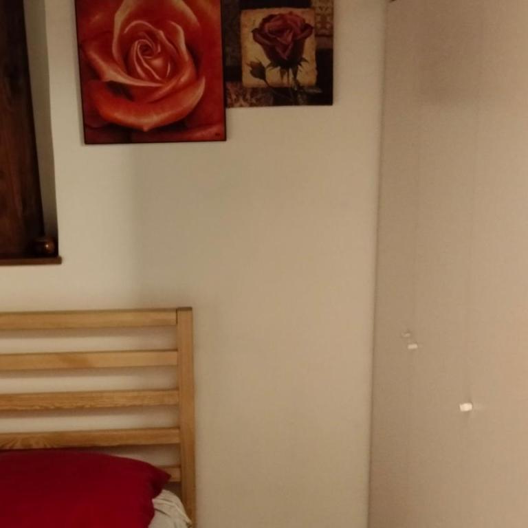 loft indipendente con giardino a Roma Tor vergata - Apartment mit 1 Schlafzimmer - 68