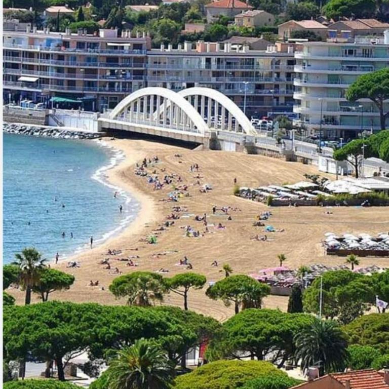 T2 en rez de jardin à 150m de la plage avec piscine et parking - Appartement 1 Chambre - 3