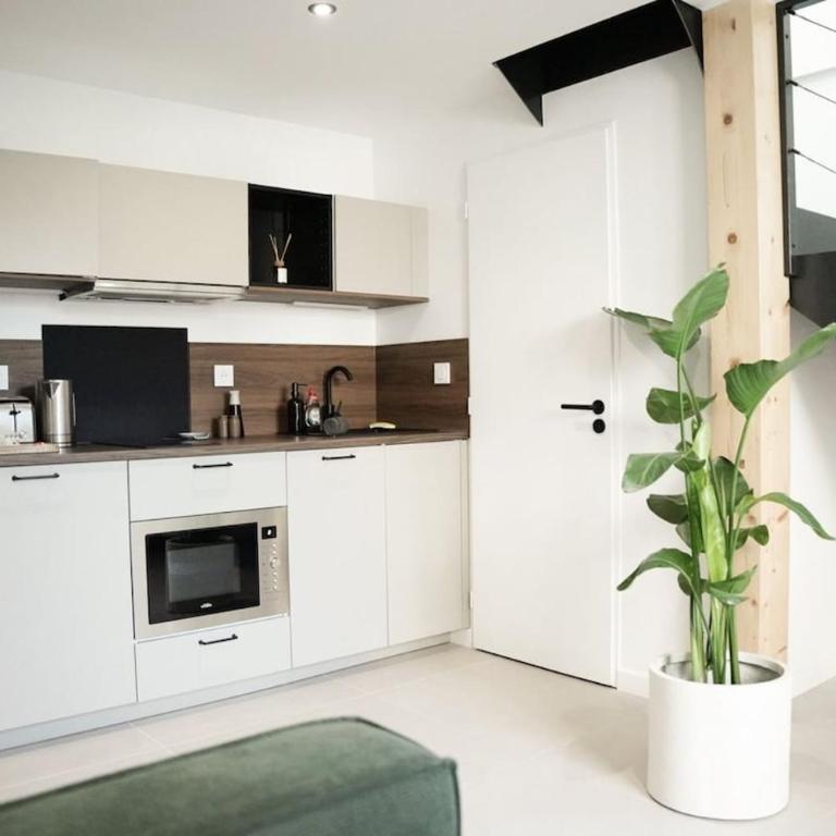 Le Jardin Secret - Appartement 1 Chambre - 1