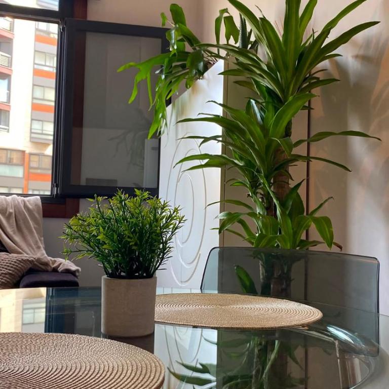 confort en vigo - Apartamento de 1 dormitorio - 5