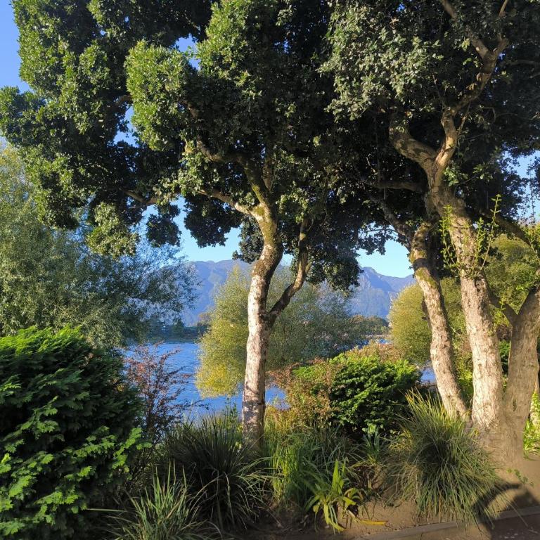 Parque Pinares-Maravilloso-Playa -Muelle-Bosque - Casa de 3 dormitorios - 43