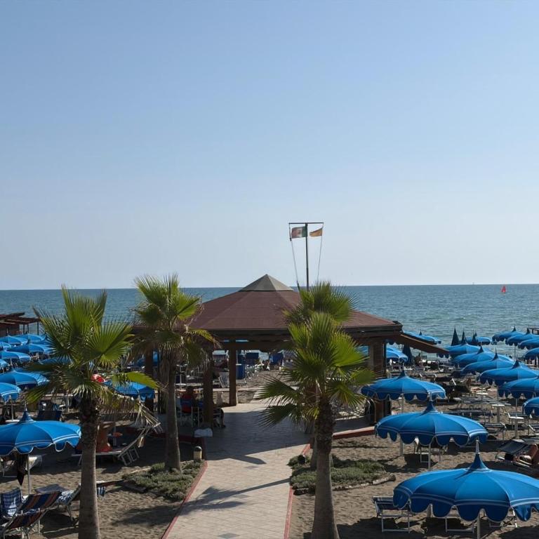 Roma Mare Terrace House - Appartamento con 1 Camera da Letto - 65