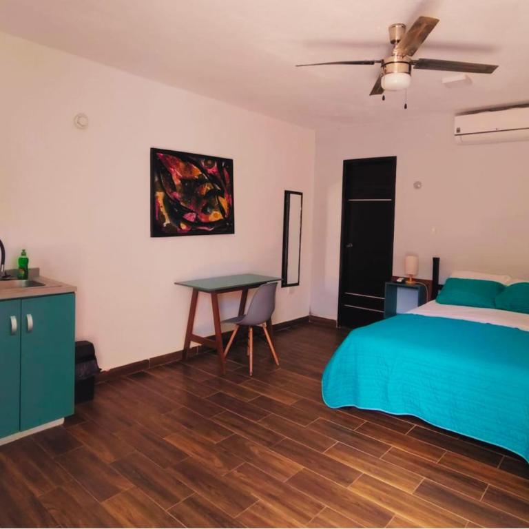 Suites del Sureste - Mérida - Standard Studio - 5