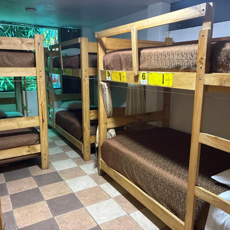 Nativus Hostel Machu Picchu - Bed in 6-Bed Mixed Dormitory Room - 1