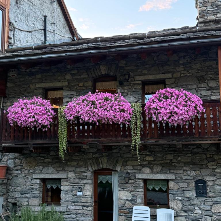 Appartamento Le Jardin CIR VDA Aymavilles 0009 - Casa Vacanze - 1