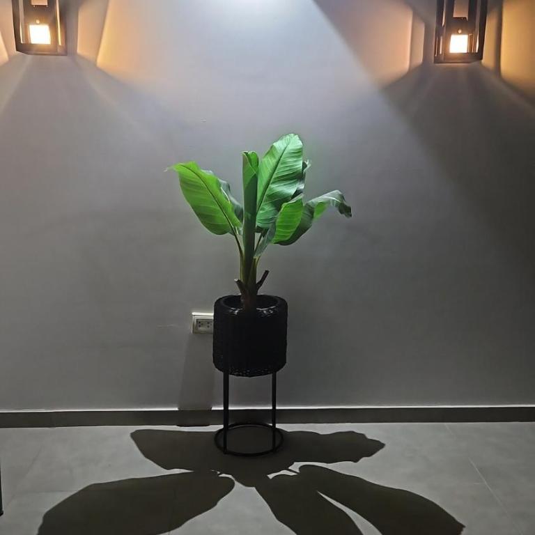 Soft Bed, Penthouse, Parking, 7 min Center - Apartamento de 3 dormitorios - 42