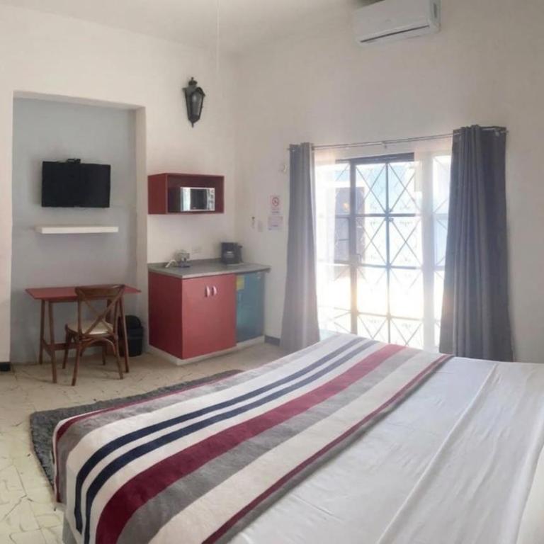 Suites del Sureste - Mérida - Studio-Apartment - 3