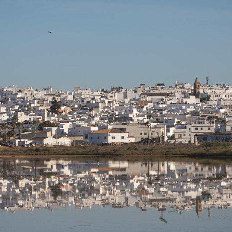 Luz y calma Conil-Apartamento nuevo con aire acondicionado- Ideal parejas - Apartamento de 1 dormitorio - 8