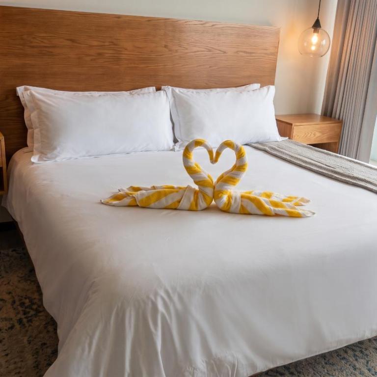 Beachfront - Spectacular Ocean Views - Apartamento - 10