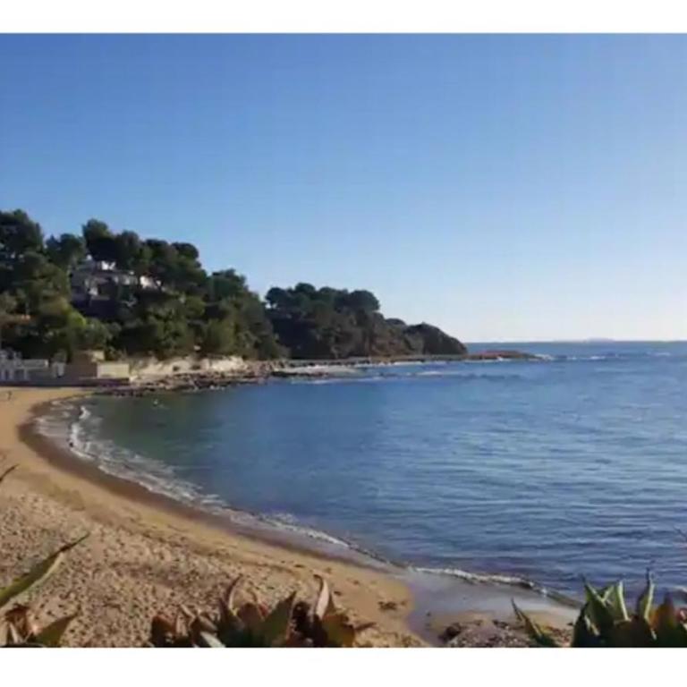 Rdc T2 37M2 5MN PLAGE - Appartement 1 Chambre - 10