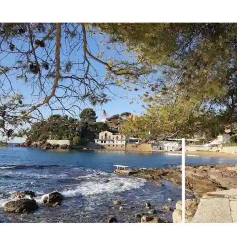 Rdc T2 37M2 5MN PLAGE - Appartement 1 Chambre - 12