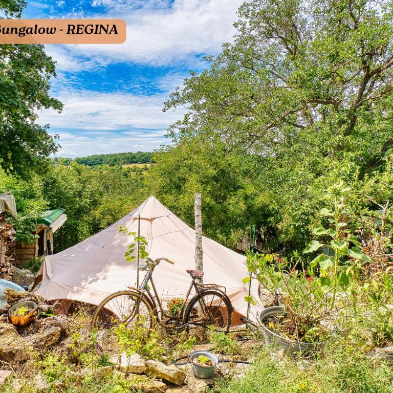 Henrys Cozy Tiny House - ruhig, Garten, Talblick, Natur - Deluxe Bungalow mit Gartenblick - 19