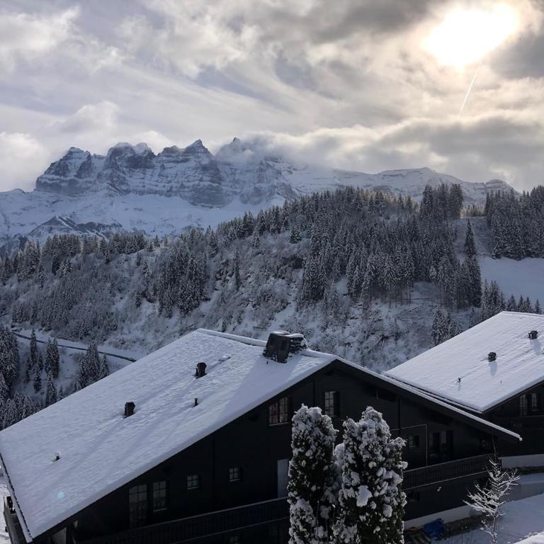 Bel appartement 6 à 10 p face aux dents du midi - Apartamento con 4 dormitorios - 11