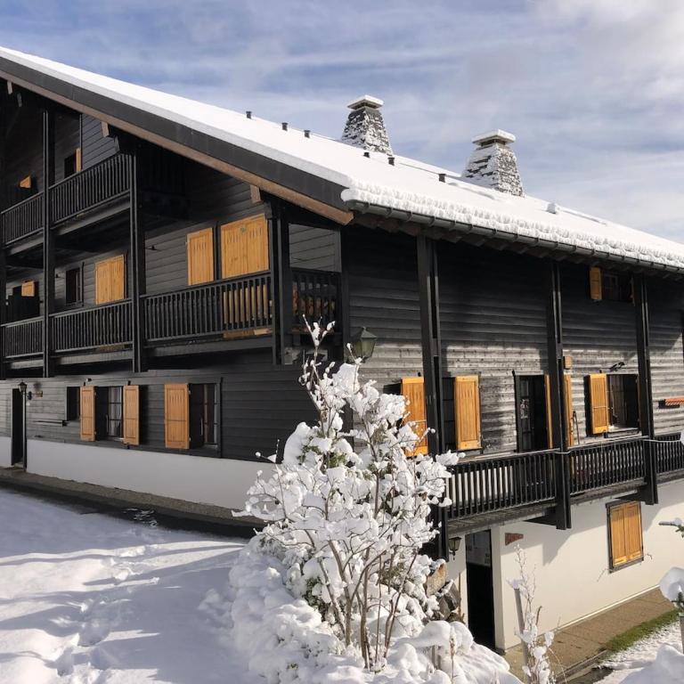 Bel appartement 6 à 10 p face aux dents du midi - Apartamento con 4 dormitorios - 33