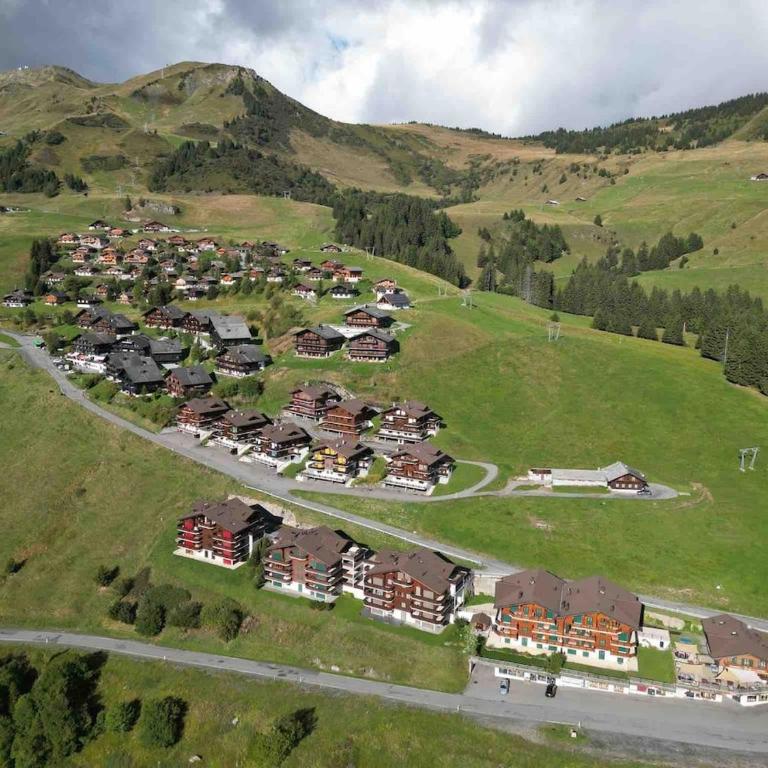 Bel appartement 6 à 10 p face aux dents du midi - Apartamento con 4 dormitorios - 43