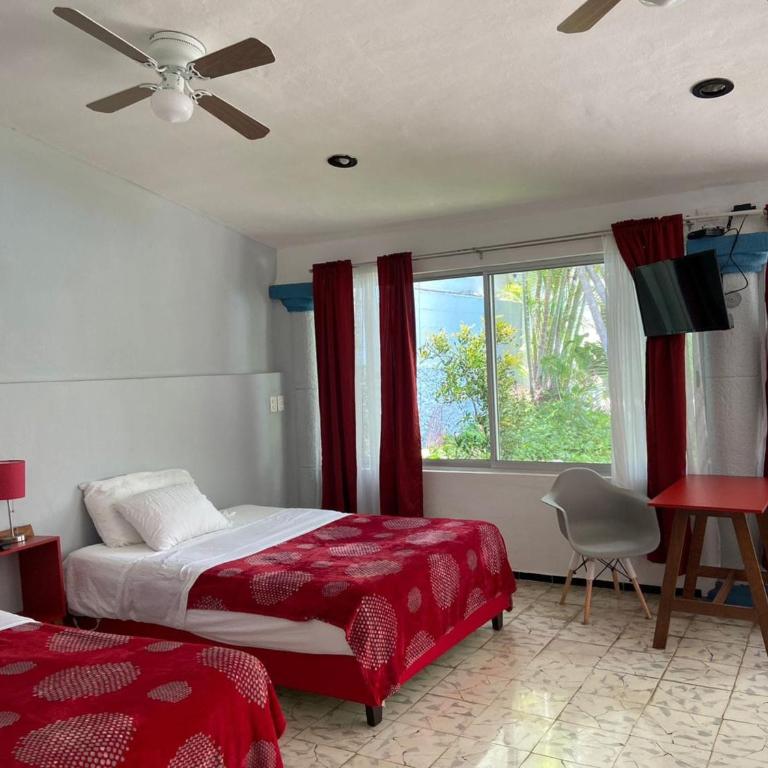 Suites del Sureste - Mérida - Superior Studio - 3