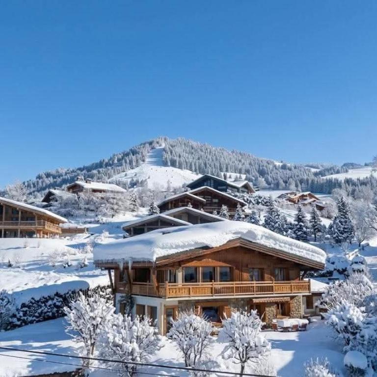 Studio Mont d'Arbois - Appartamento con 1 Camera da Letto - 1