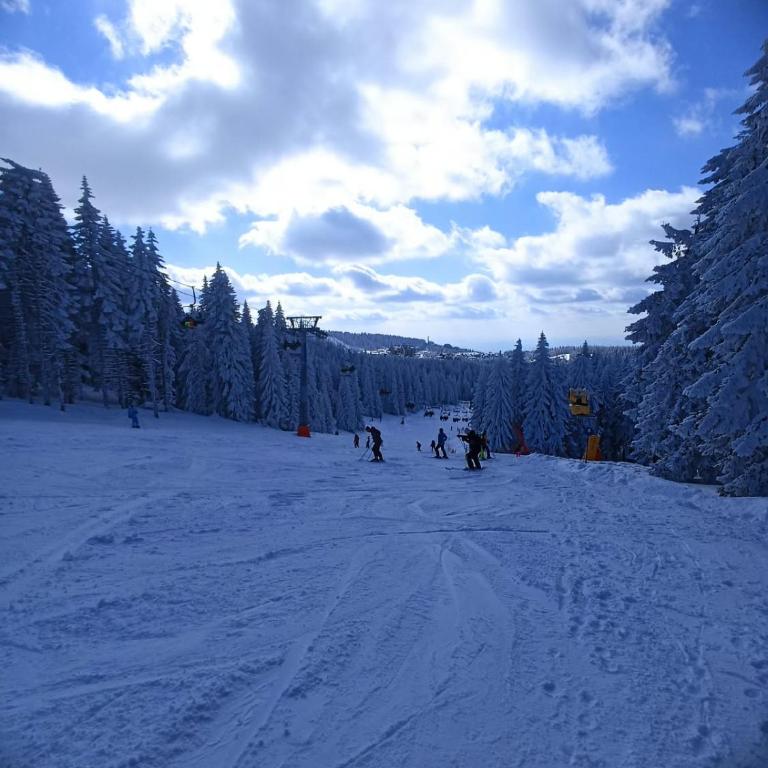 Aurora Summit apartment Residence Hill Kopaonik - Appartement 1 Chambre - 66