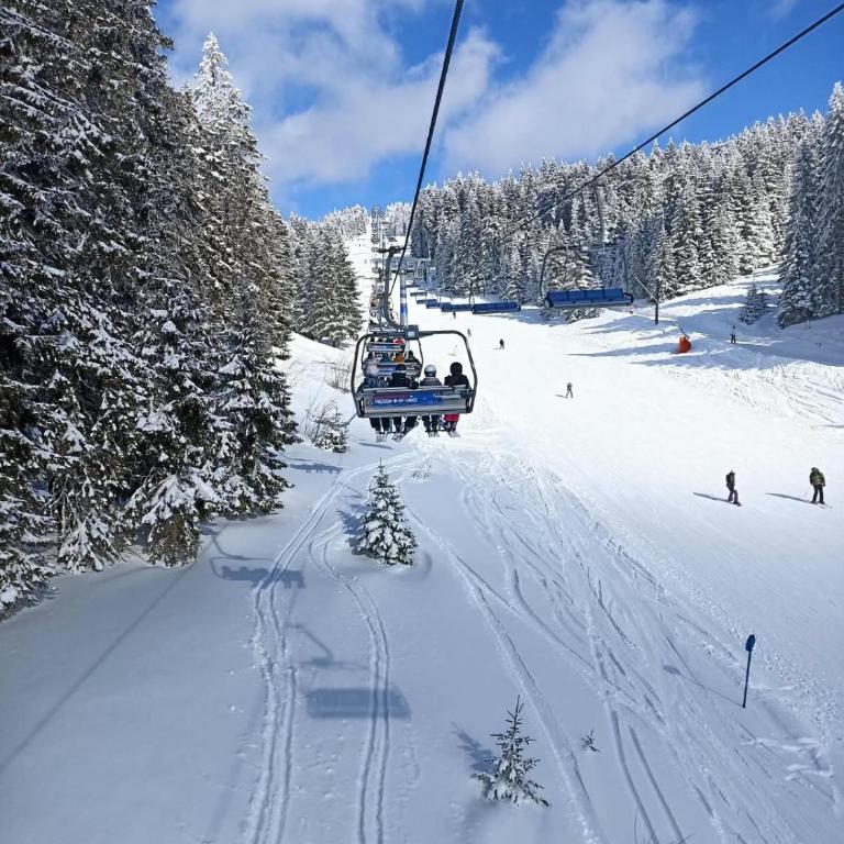 Aurora Summit apartment Residence Hill Kopaonik - Appartement 1 Chambre - 67