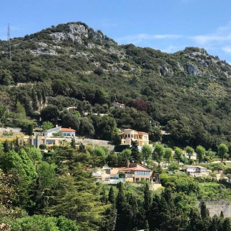 La Turbie Villa with Monaco Views, Pool & Sauna - Villa - 15