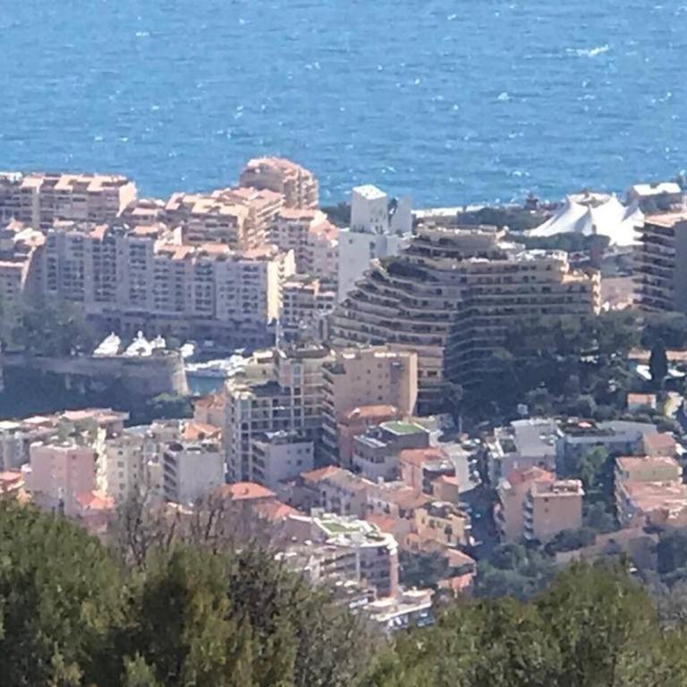 La Turbie Villa with Monaco Views, Pool & Sauna - Villa - 17
