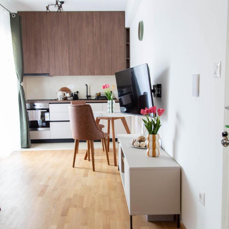 Tulip Apartments Podgorica - New Studio, Self Check-in, Airport Pickup - One-Bedroom Apartment - 10