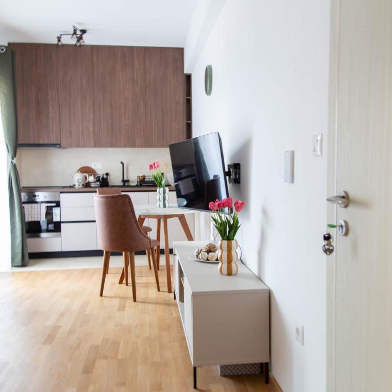 Tulip Apartments Podgorica - New Studio, Self Check-in, Airport Pickup - One-Bedroom Apartment - 3