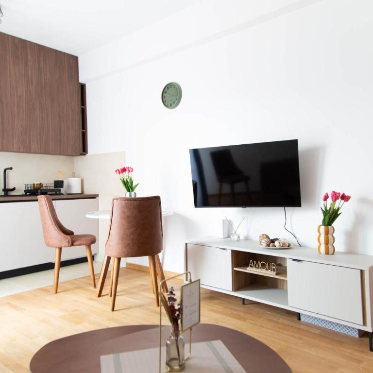 Tulip Apartments Podgorica - New Studio, Self Check-in, Airport Pickup - One-Bedroom Apartment - 13