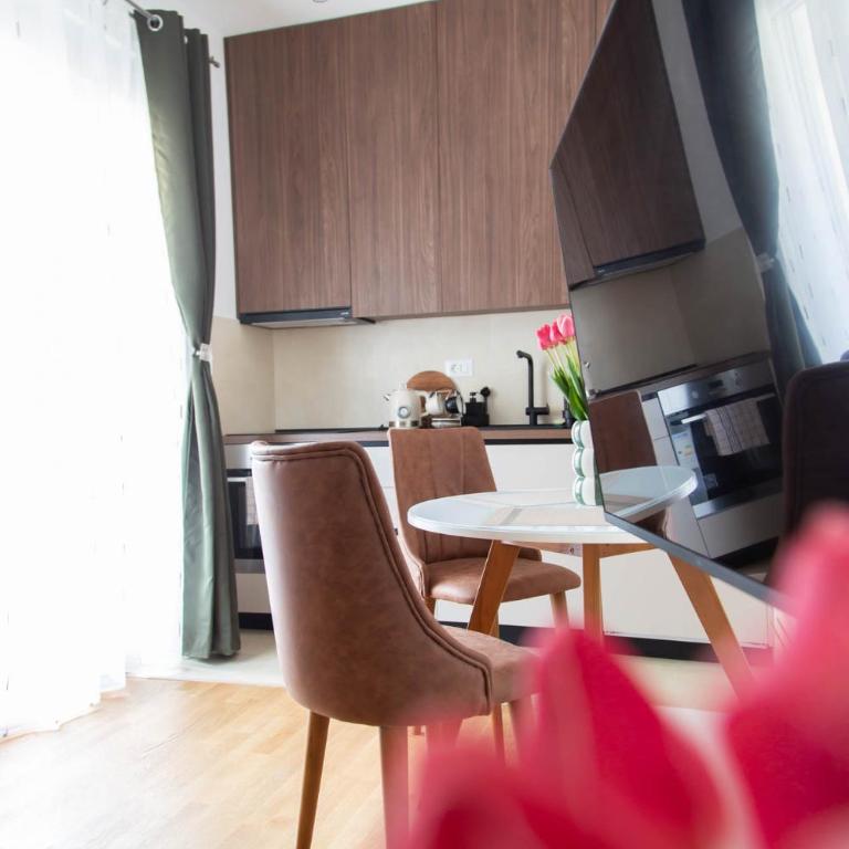 Tulip Apartments Podgorica - New Studio, Self Check-in, Airport Pickup - One-Bedroom Apartment - 23