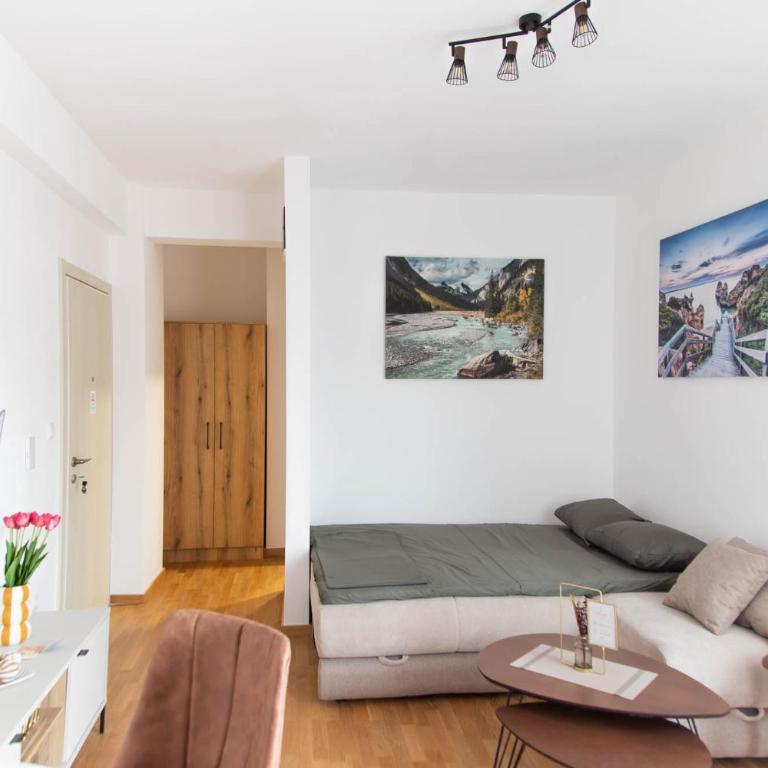 Tulip Apartments Podgorica - New Studio, Self Check-in, Airport Pickup - One-Bedroom Apartment - 4