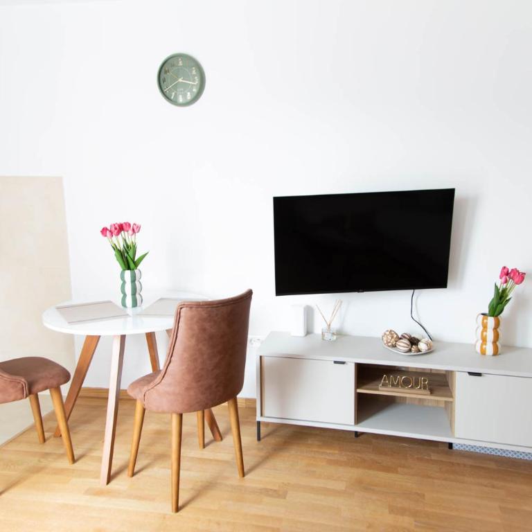 Tulip Apartments Podgorica - New Studio, Self Check-in, Airport Pickup - One-Bedroom Apartment - 8