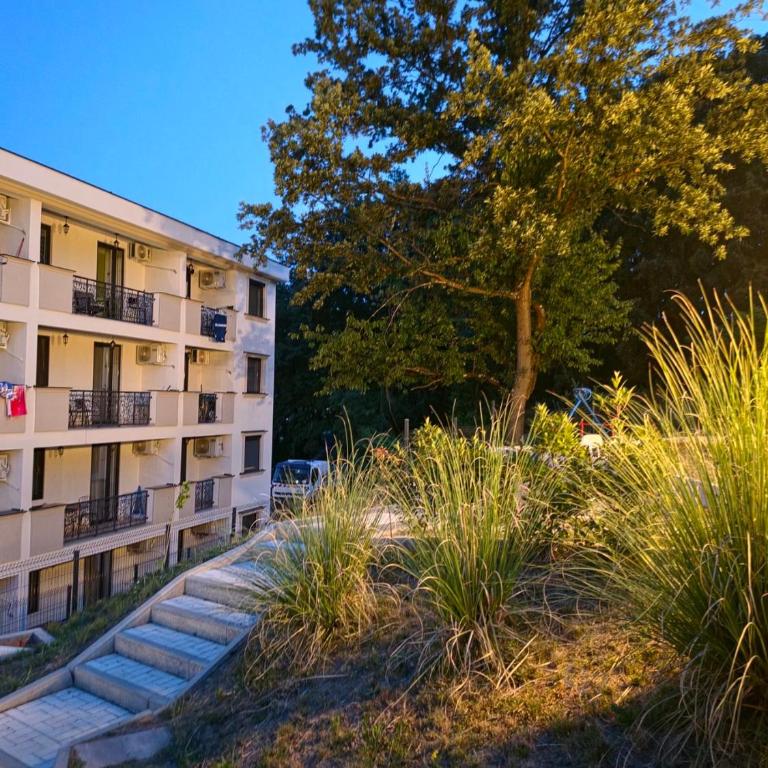 Shanti Stay - Apartman sa 1 Spavaćom Sobom - 26