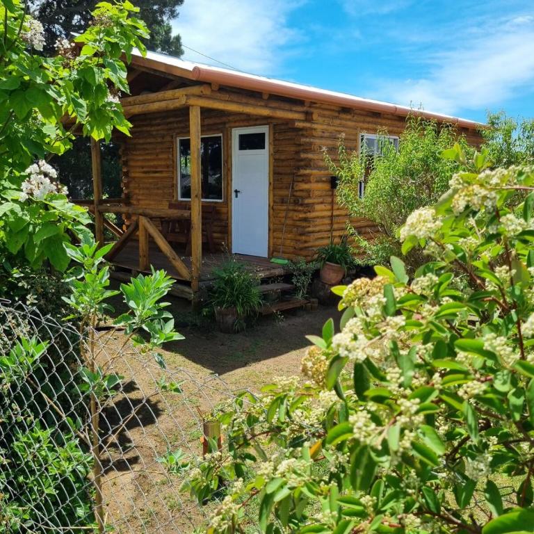 Cabaña boutique cactus y caracolas pinamar - One-Bedroom House - 23