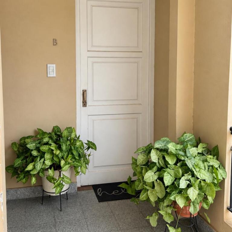 Hermoso apartamento centrico! - Apartamento de 1 dormitorio - 20
