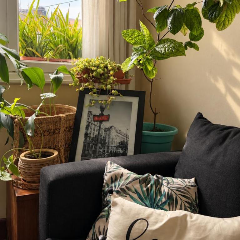 Hermoso apartamento centrico! - Apartamento de 1 dormitorio - 8