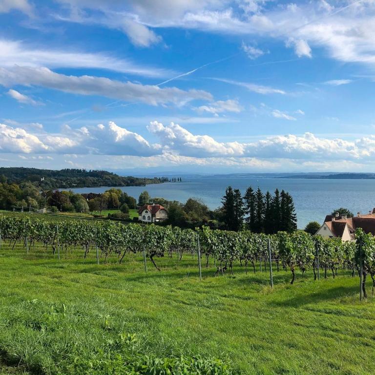 Gemütliche Ferienwohnung Inselglück - Zentral - Apartamento de 1 dormitorio - lado mar - 21